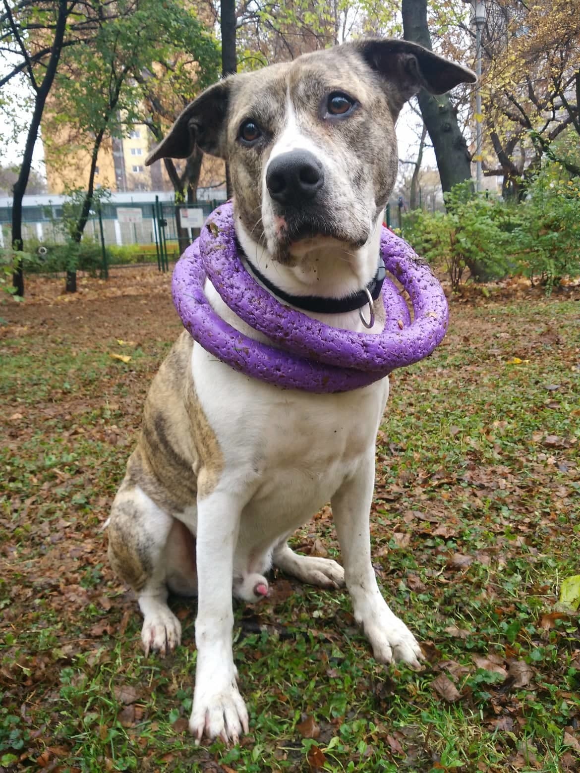 A játék, vagy edzés előtt a bemelegítésről, utána pedig a levezetésről se feledkezzünk meg!