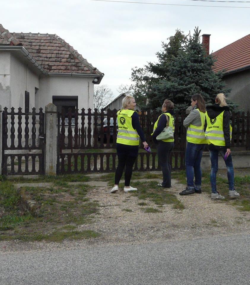 Az Állatvédők Vasi Egyesülete a helyszínen