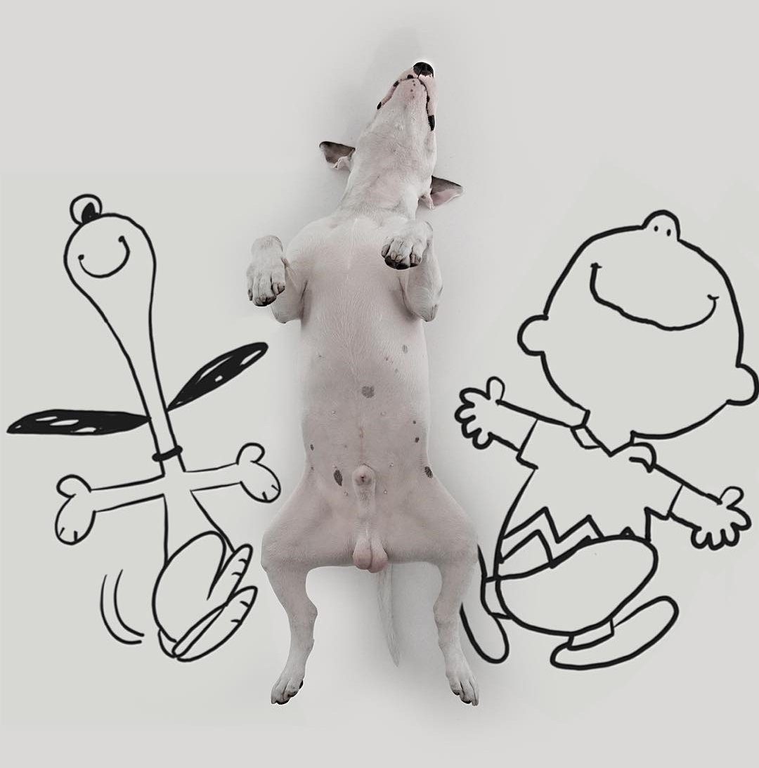 Snoopy, Charlie Brown és Jimmy vidám fotója