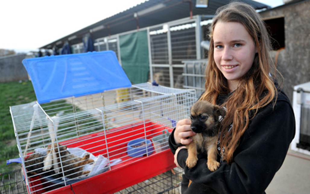 Polgár Fanni, a Kutyatár Egyesület önkéntese