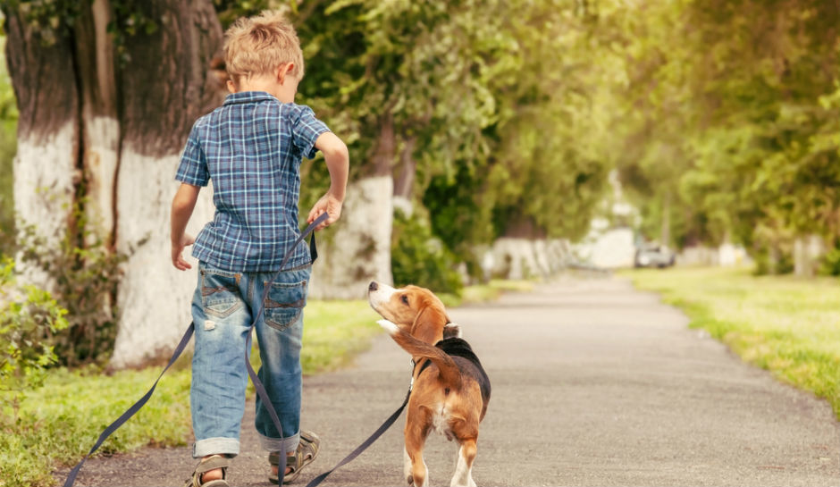 Kutyájával indult világgá a hároméves kisfiú
