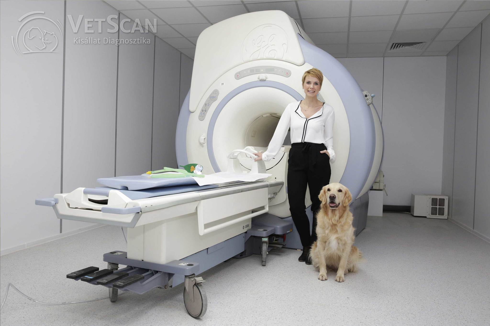 D.Tóth Kriszta a VetScan Kisállat Diagnosztikánál D.Tóth Kriszta a VetScan Kisállat Diagnosztikánál