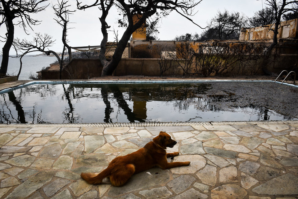Minden szürke és fekete - hamu és szén mindenütt