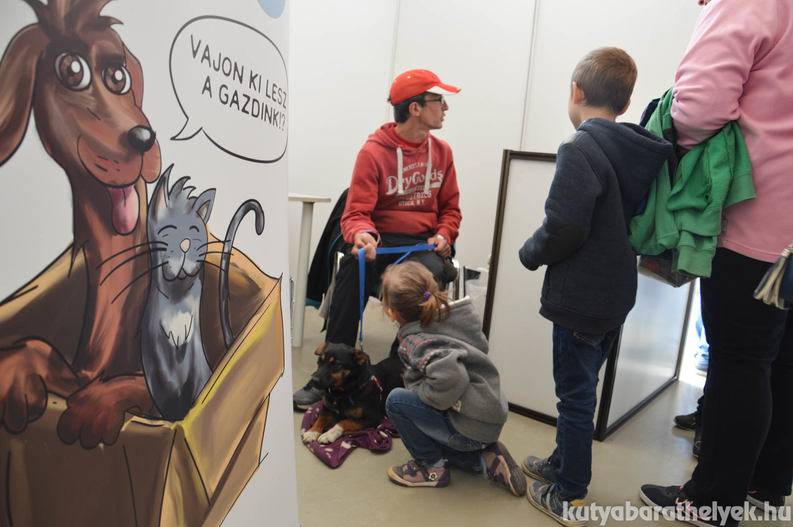 kicsi, nagy, fiatal és idős kutyusok keresték gazdijukat