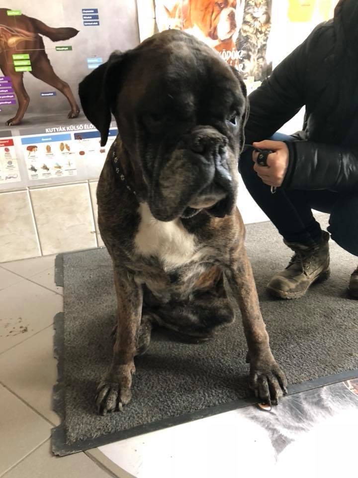 Mimi tragikus sorsa is végül jóra fordult