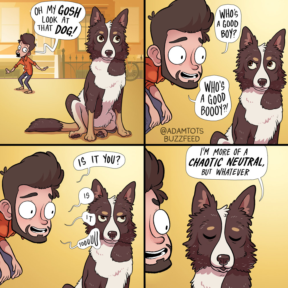 10 dolog, ami minden gazdinak ismerős lesz 08