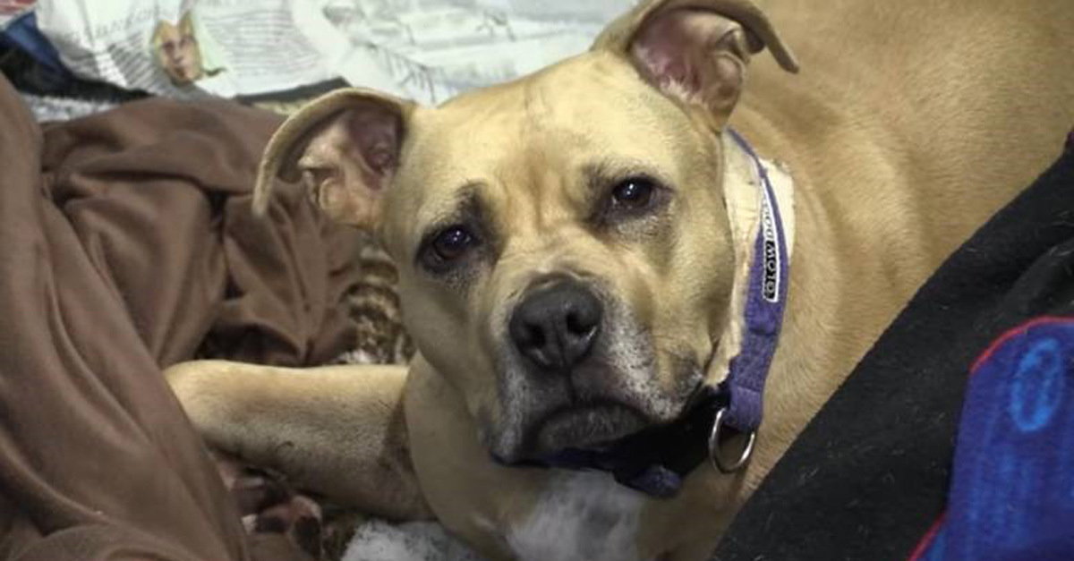 Missty otthonában lábadozik, ám gyógyulása lassú folyamat lesz