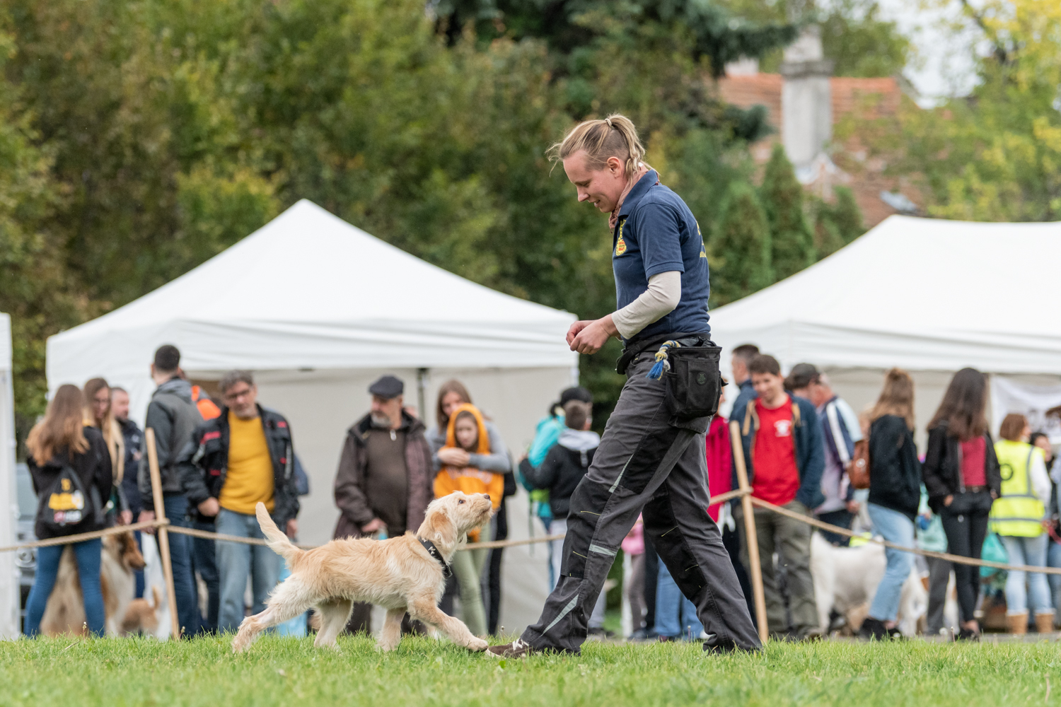 A legkisebb mentőkutya-növendék A legkisebb mentőkutya-növendék