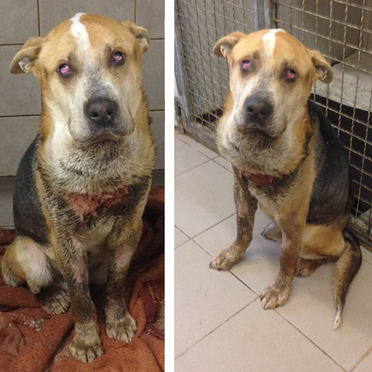 Fülöp fejéről elkezdett visszahúzódni az ödéma