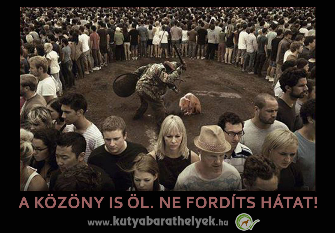 Ne fordíts hátat!