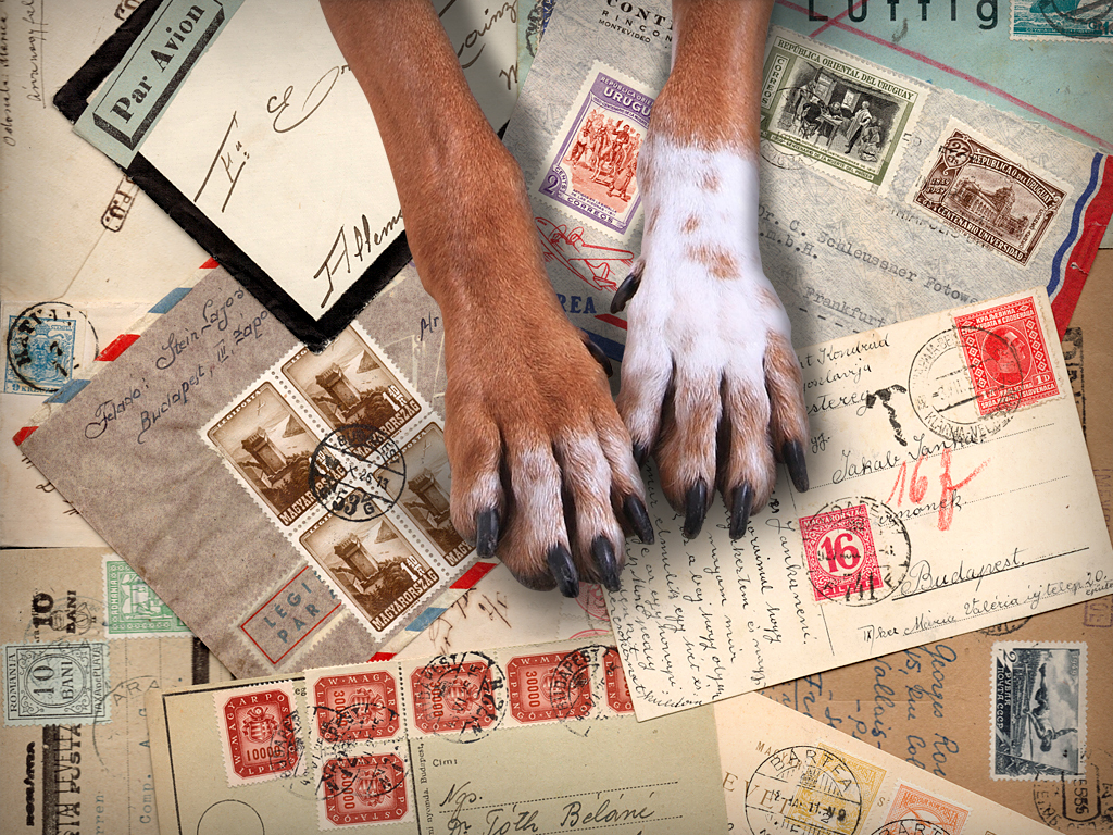 Kutyabarát Darabanth Aukciósház Kutyabarát Darabanth Aukciósház