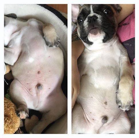 Másfél hét használat után megszűnt a kipirosodás és a vakaródzás