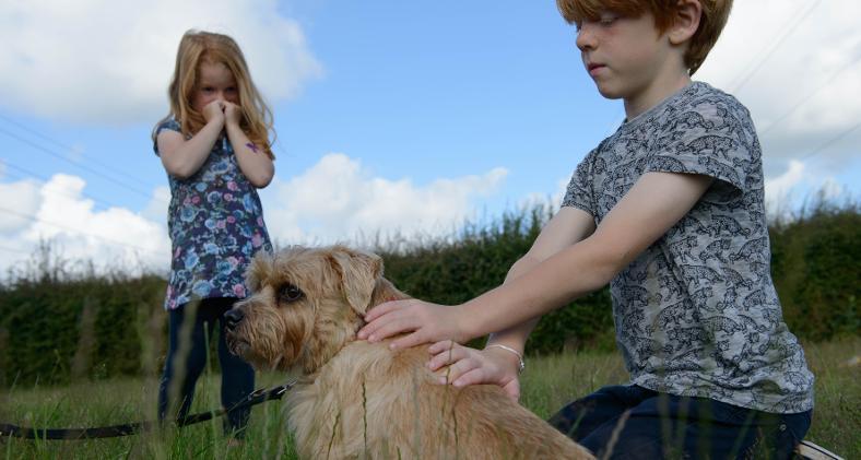 Az állatoktól való félelemnek is megvan az oka - ezt azonban feltárni és megoldani kell, nem erősíteni