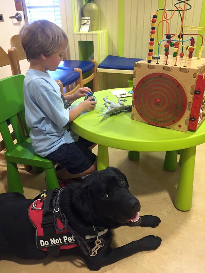 Luke, a cukorbeteg fiú és legjobb barátja, Jedi, a labrador