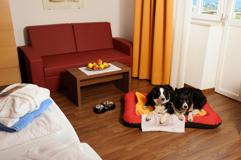 Van olyan hotel, ahol kutyaággyal és finom falatokkal várják a kutyákat