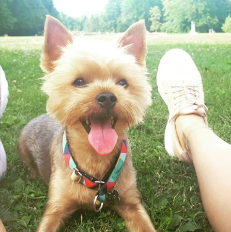 @toto.naploja @toto.naploja