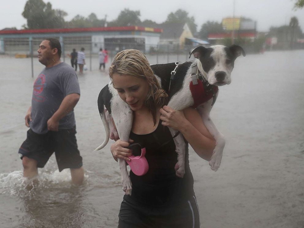 Harvey hurrikán - Naomi Coto és Simba
