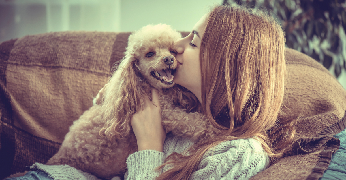 Barátság, hűség, feltétel nélküli szeretet - a kutya-gazdi kapcsolat alapkövei