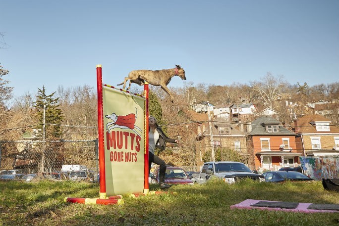 Feather minden akadályt könnyedén vesz