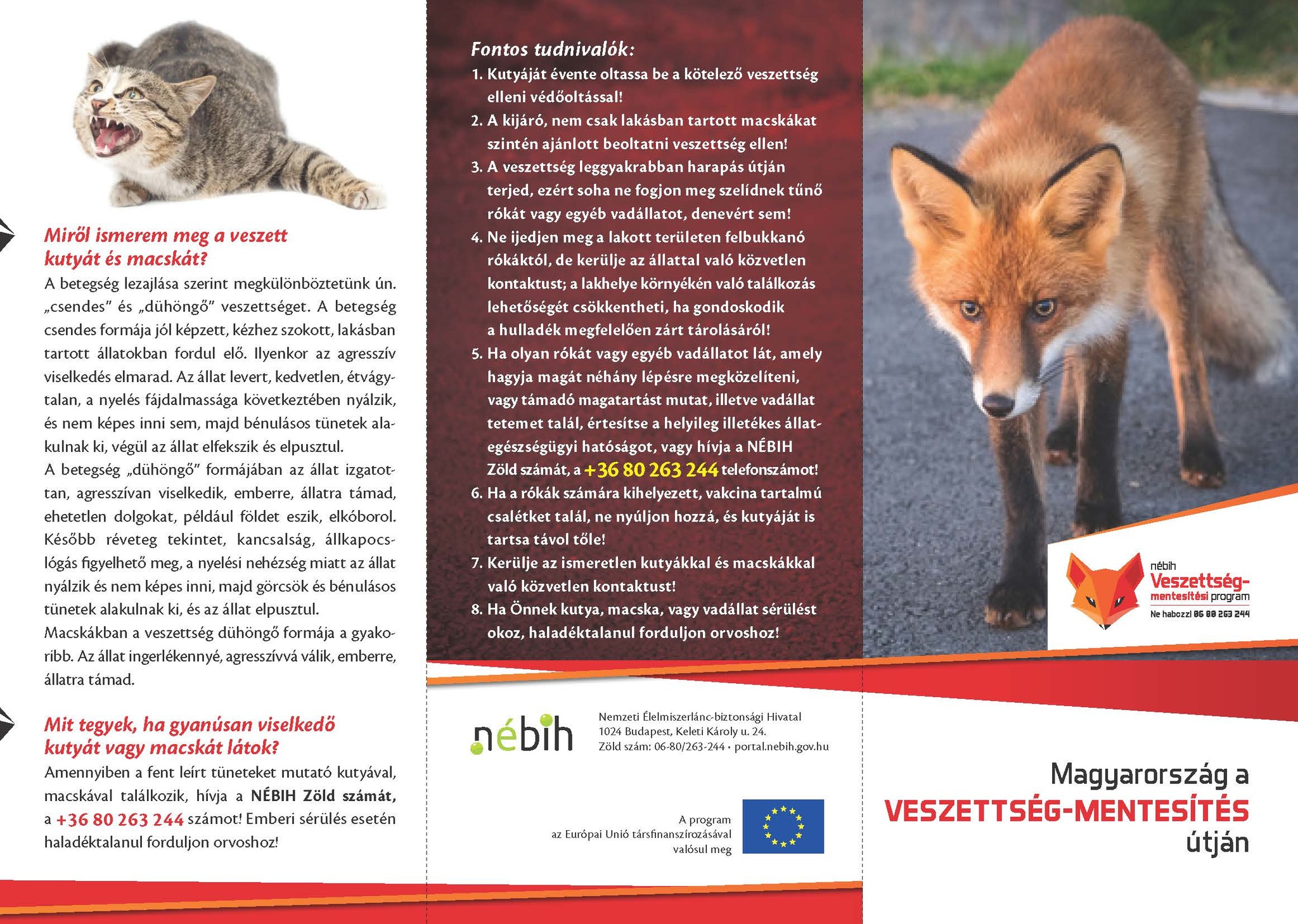 Veszettség mentesítés 