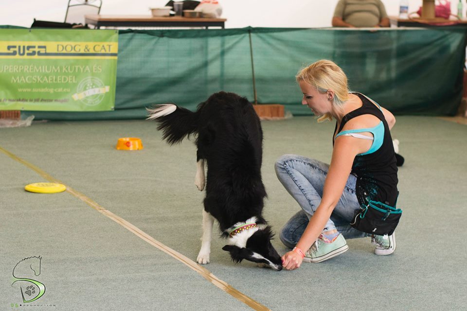 Trükkverseny az I. Holdfény Dog Dancing Kupán