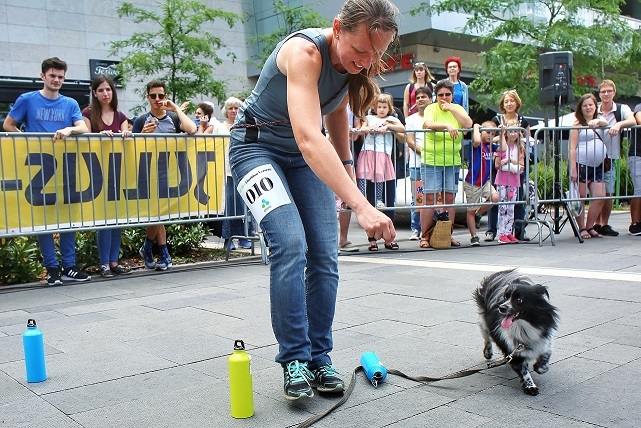 Izgalmas feladatokat kellett teljesíteni a kutya-gazda párosoknak