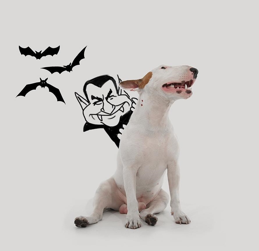 Jimmy és a Hotel Transylvania Drakula grófja