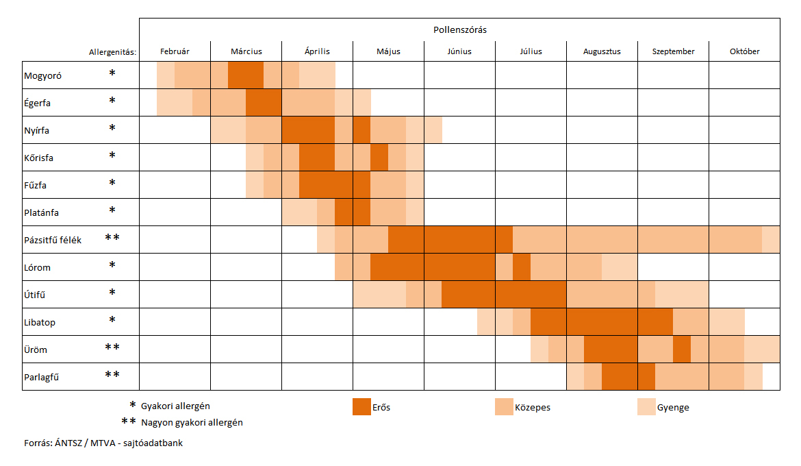 Pollenallergia kutyáknál - Pollennaptár