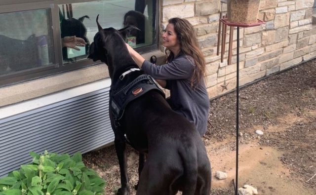 Tonka és gazdája az ablakon keresztül látogatja az otthonban élő időseket