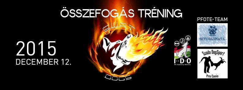 Összefogás a Csepeli SWATDOGS kutyaiskoláért