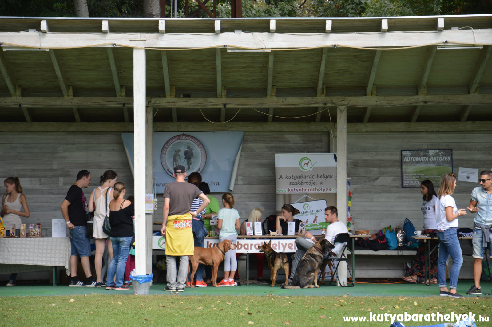 Színes kirakodó kutyáknak és gazdiknak: kutyás szolgáltatók, termékek és állatvédők vettek részt