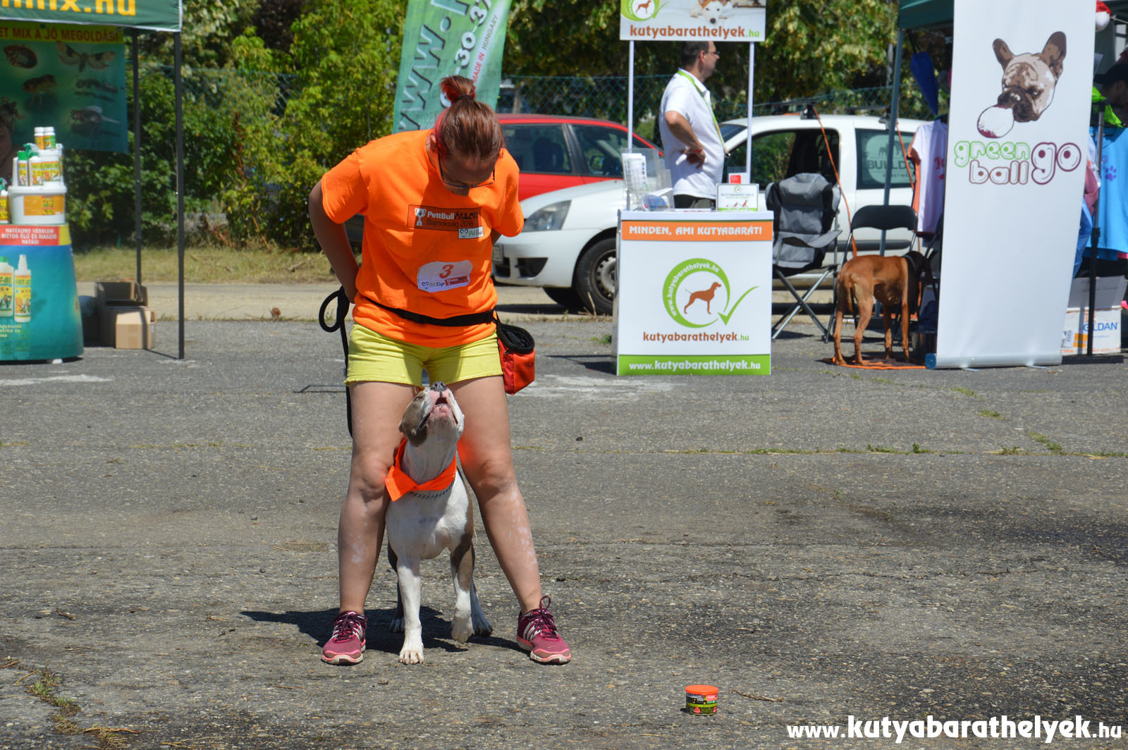 A legügyesebb kutyák bemutatót is tartottak