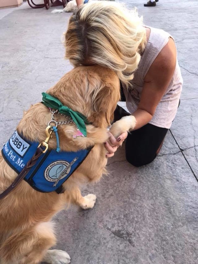 A kutya megértő jelenléte a legjobb gyógyír tragédia idején