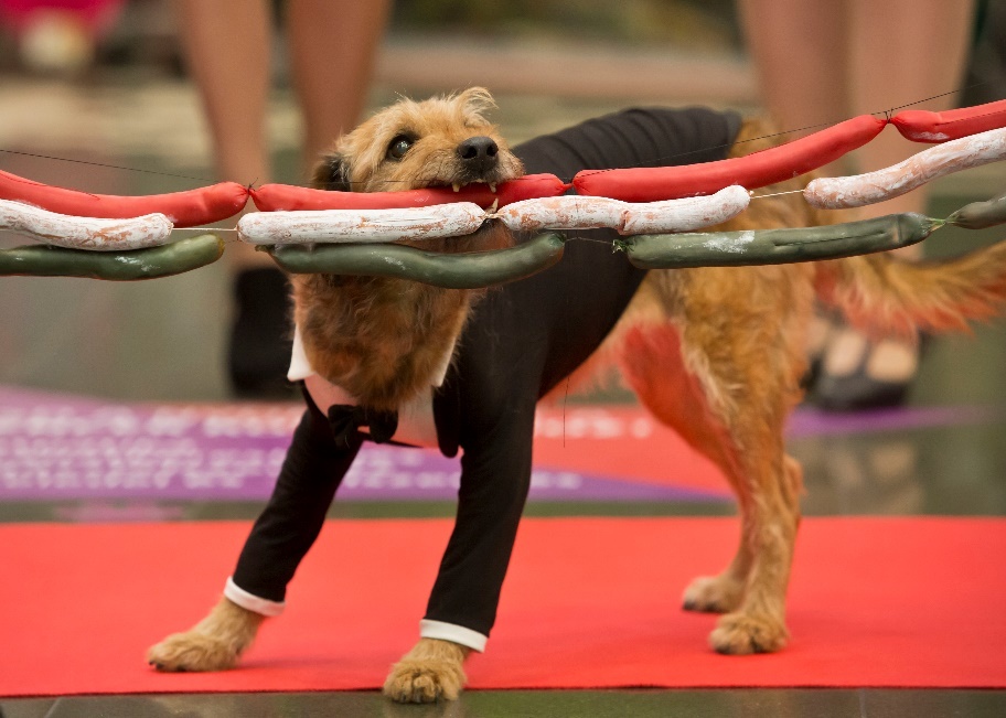 A szalag átrágása A szalag átrágása