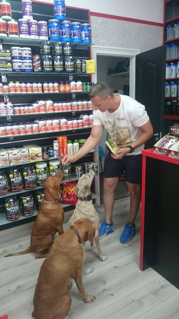 Kutyabarát NutriFit Shop Üzlete Szombathelyen Kutyabarát NutriFit Shop Üzlete Szombathelyen