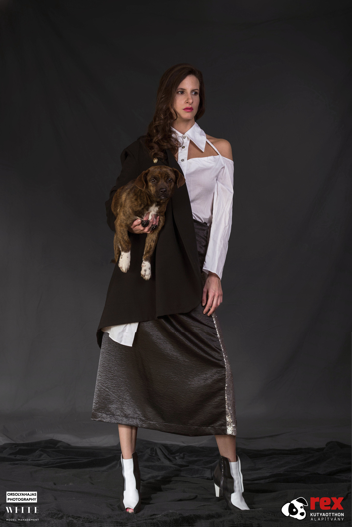 A keverék kutya is lehet divatos, fogadj örökbe Te is!