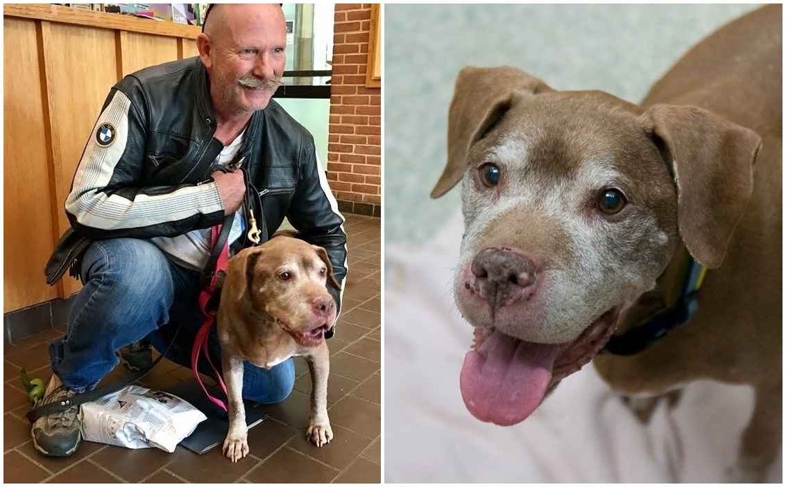 18 éves korában fogadták örökbe ezt a kutyát