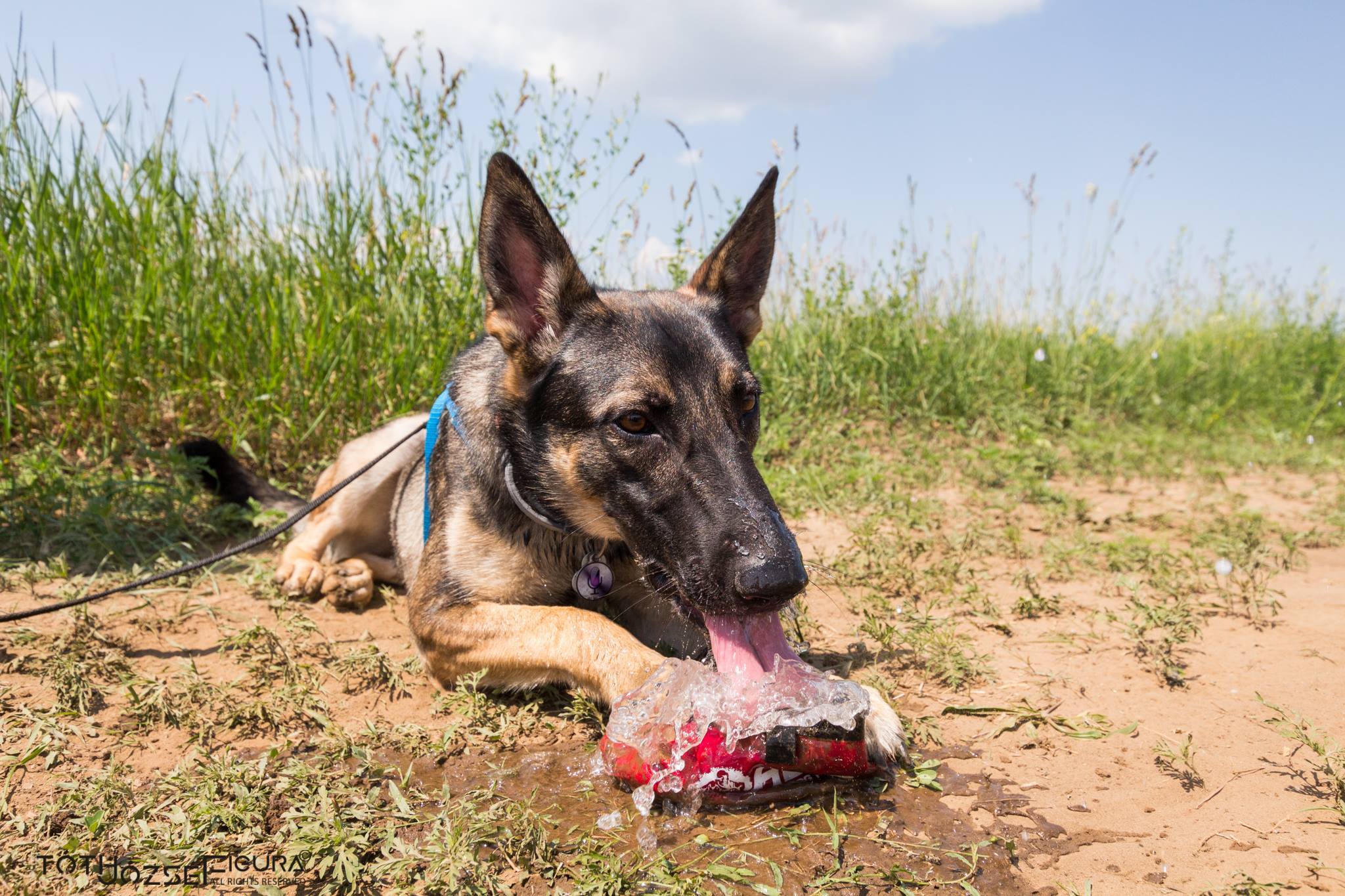 Kiemelten fontos a hidratálás a verseny előtt - alatt - és után!