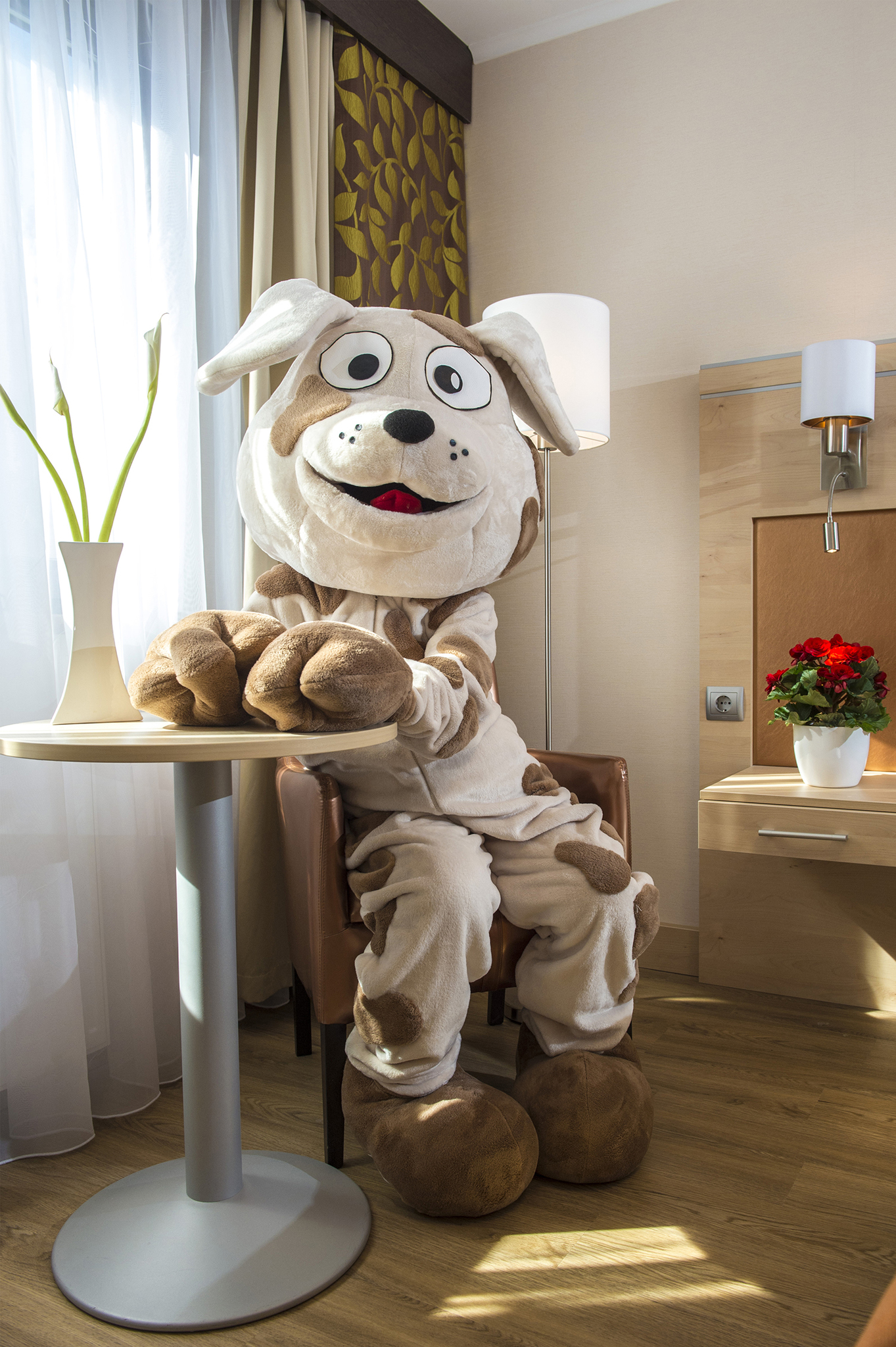 Vinil padlós szobák a kutyás vendégek kényelméért