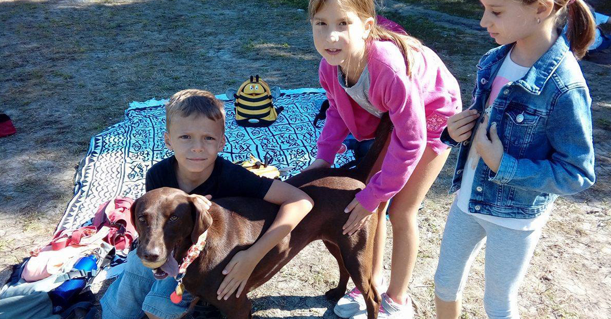 A gyerekek nagyon szeretnek a kutyákkal játszani