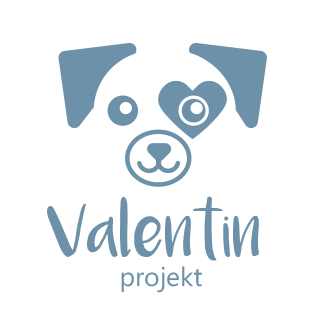 Valentin projekt