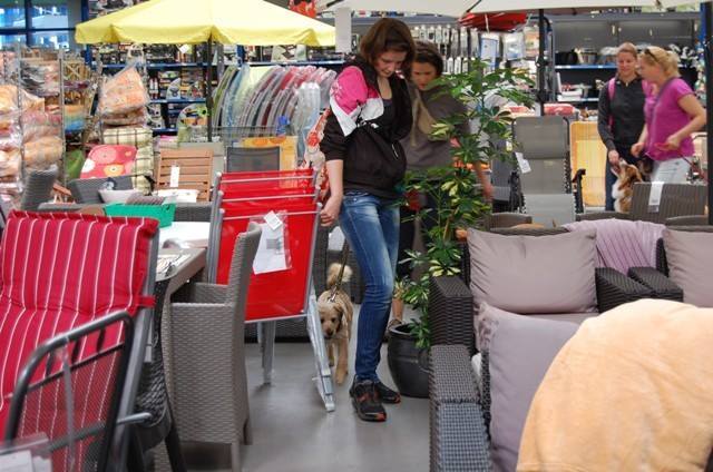 Minden helyzetben megfelelően kell viselkednie a kutyának