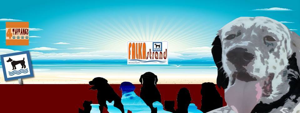 Falkastrand 2015 Falkastrand 2015