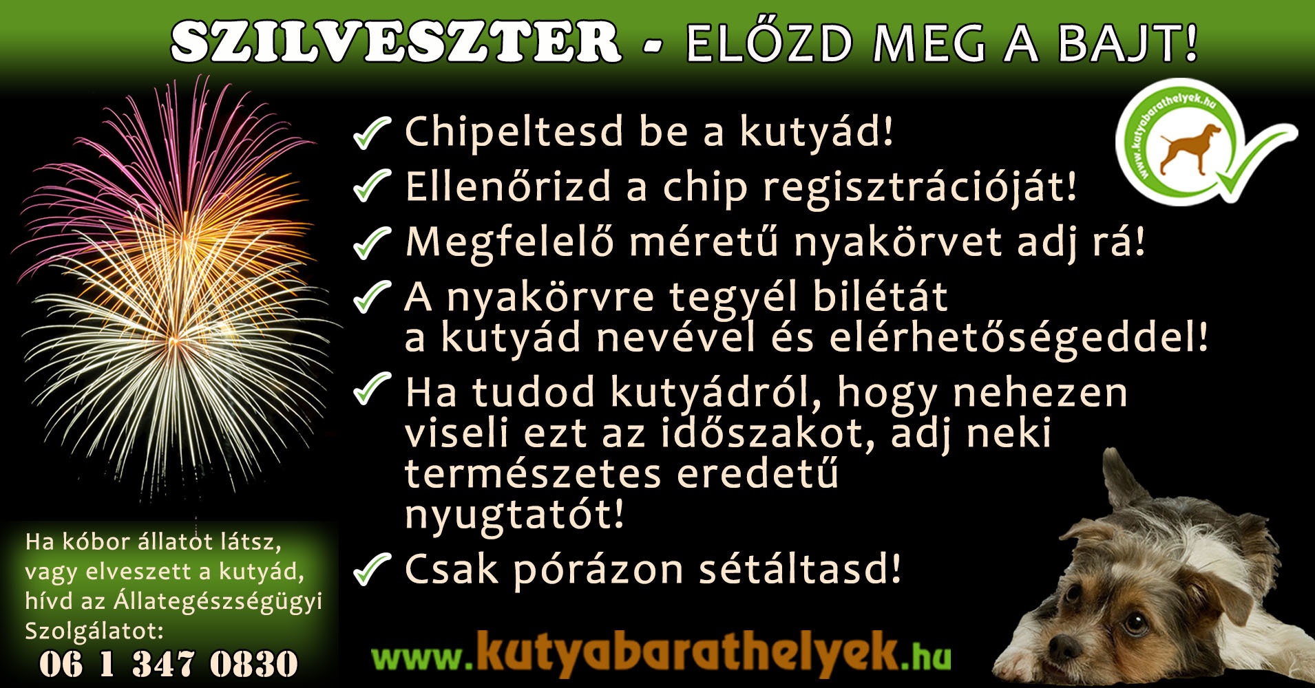 Ezekkel az óvintézkedésekkel megelőzheted a bajt Szilveszterkor