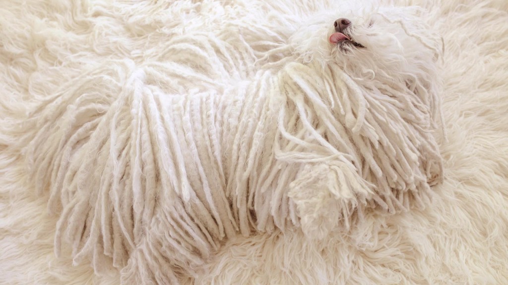 Beast, Mark Zuckerberg pulija