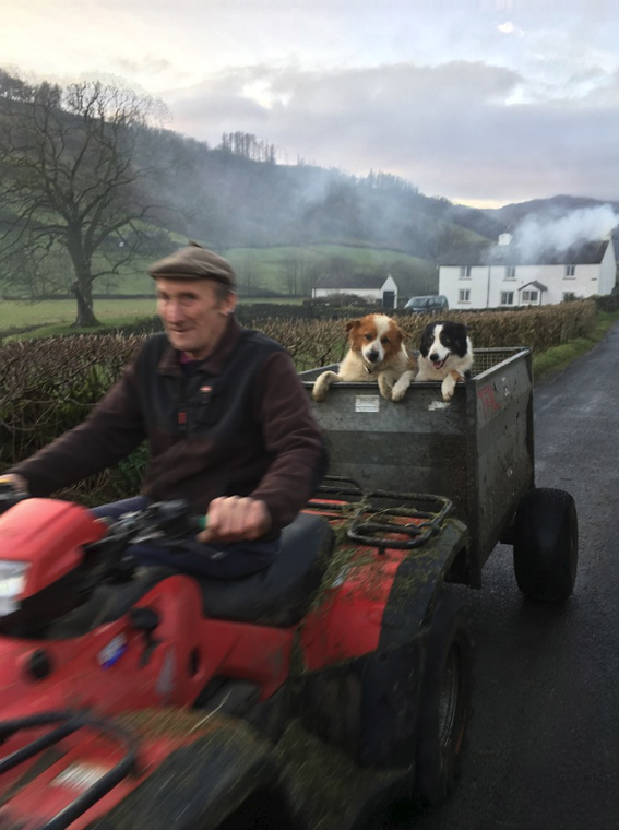 Dorine Scherpel - The loyal co-workers