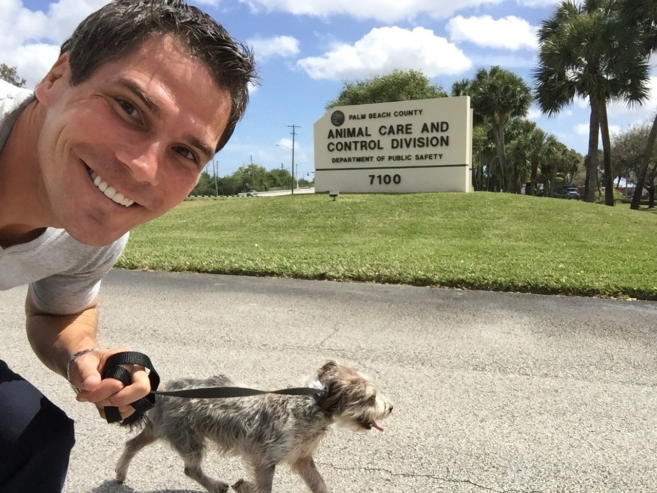 Feigel Tibor altatásra ítélet menhelyi kutyákat is rehabilitál