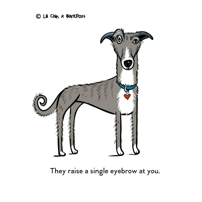 Megemelt szemöldökkel néz rád