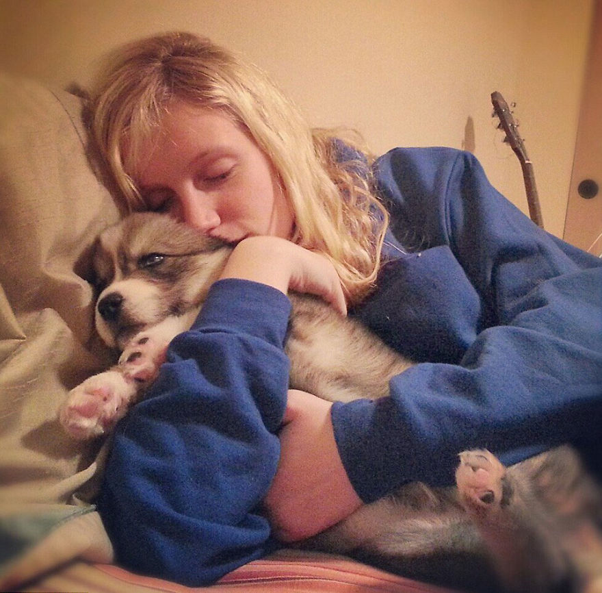 A kölyök Kyro és Amanda