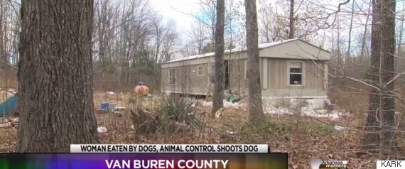 Állatkínzás Arkansas államban - az elhanyagolt ingatlan, ahol a kutyák éltek